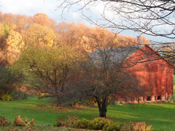 Bunker Hill in the fall